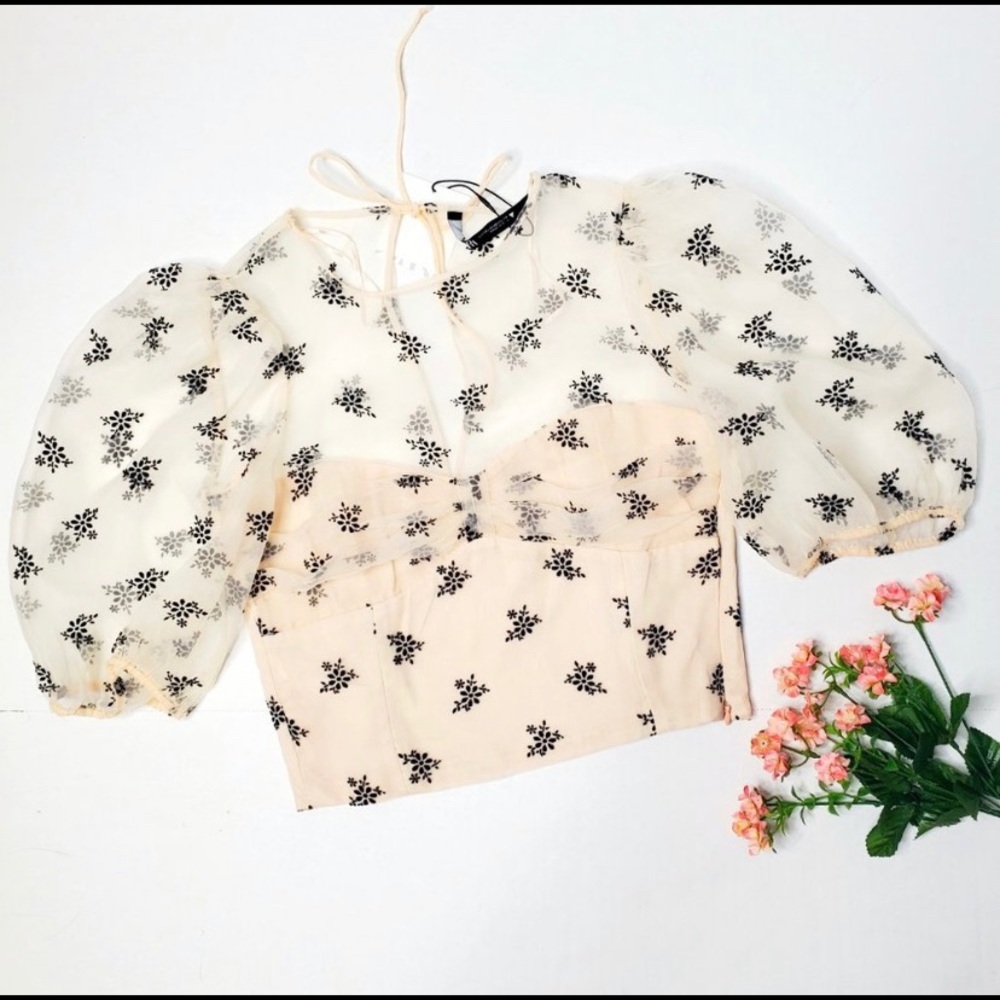 NWT Zara Organza Puff Sleeve Crop Top Bloggers fav